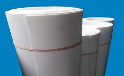 ���|�ľ��ķ���ϩ�呪ԓ������Щ���ԣ�